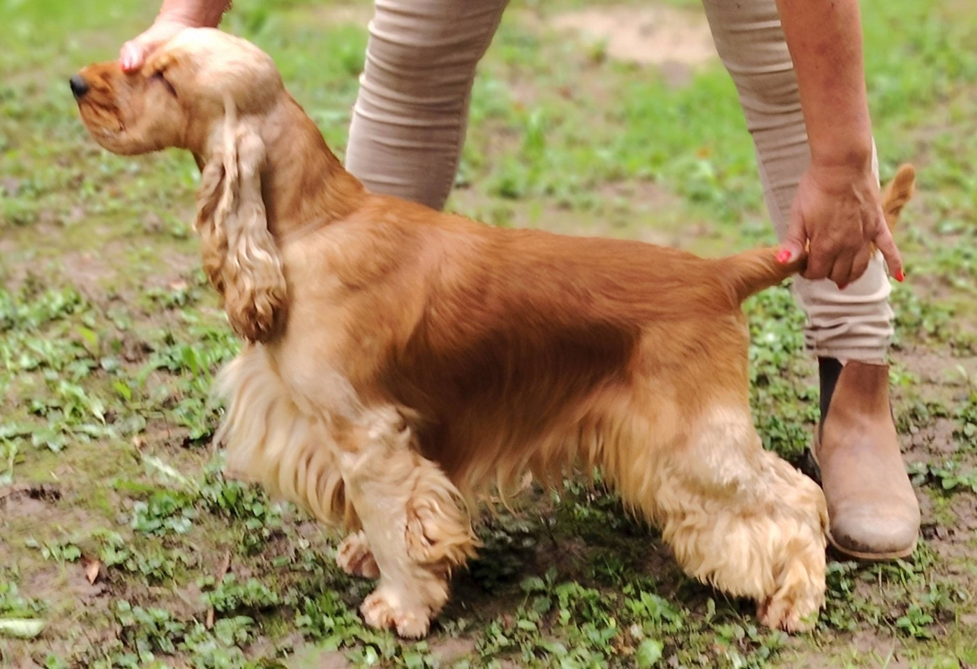 CH. Desert treasure at charbonnel